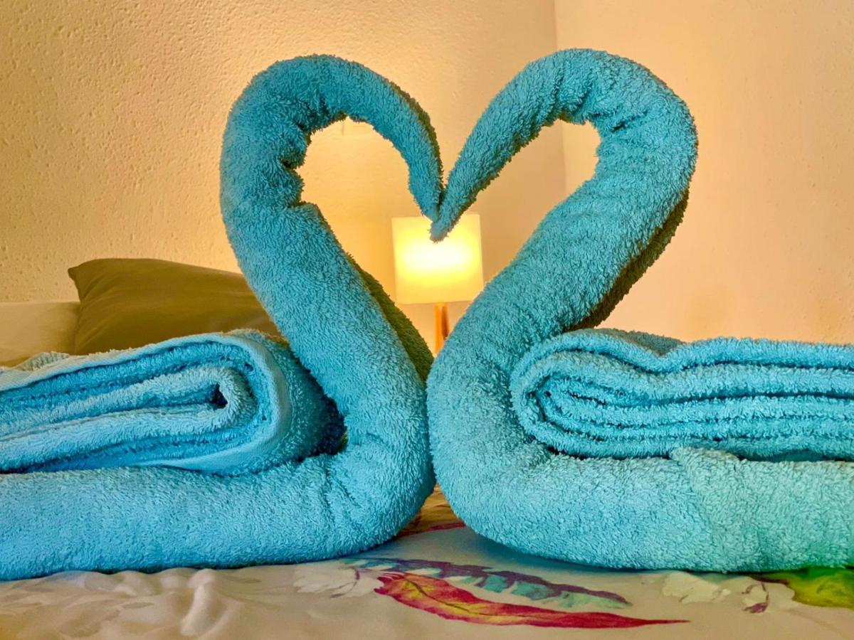 La Playa - L'Appartement Cozy - 2 A 5 Personnes แซนต์-อาน ภายนอก รูปภาพ