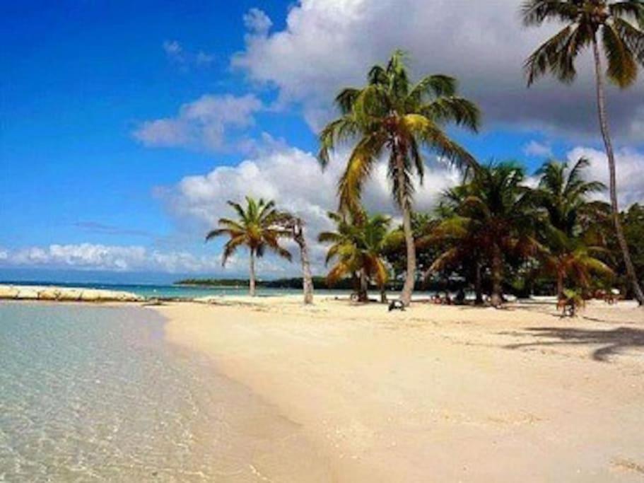 La Playa - L'Appartement Cozy - 2 A 5 Personnes แซนต์-อาน ภายนอก รูปภาพ